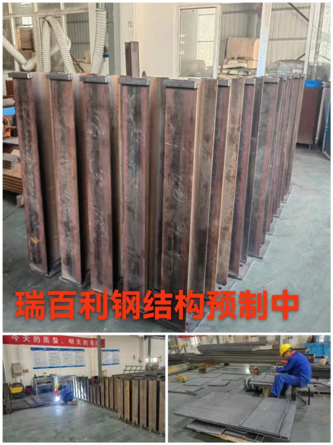 草莓视频APP黄色网站